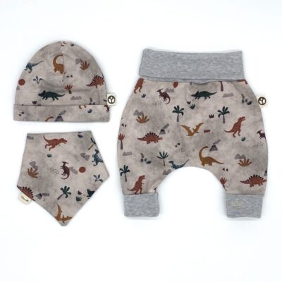 Babyset_Jersey_Dinozeit_Grau_Tiere_01